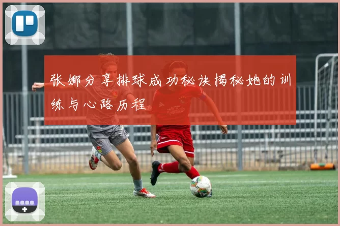 张娜分享排球成功秘诀揭秘她的训练与心路历程